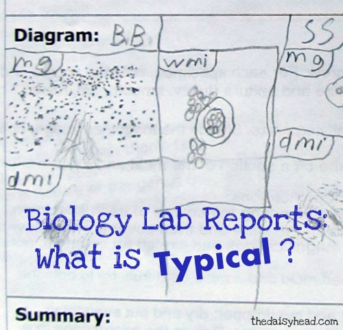 homeschool lab reports