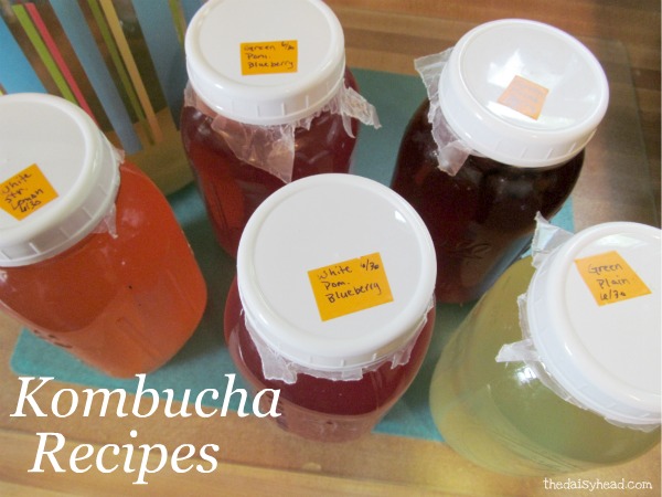 Kombucha Recipes